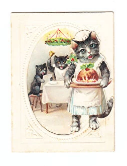 Images Dated 15th May 2018: Three cats with pudding on a Christmas card