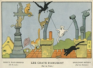 Easy Gallery: Cats on a roof, Les Images en Musique