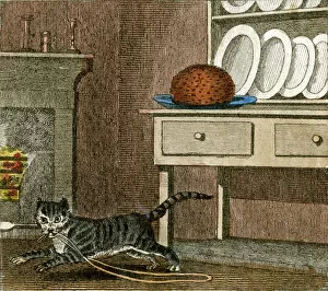 Dresser Gallery: CATs RUN AWAY 1818