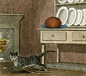 Dresser Gallery: CATs RUN AWAY 1818