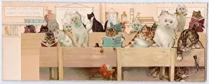 Cats in a schoolroom on a greetings card