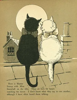 Cats Collection: Two cats sit on a rooftop gazing at the full moon