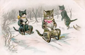 Cold Gallery: Cats on sleds in the snow on a Christmas postcard