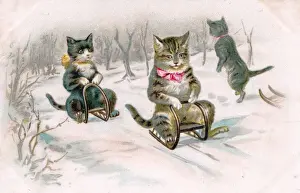 Cats on sleds in the snow on a Christmas postcard