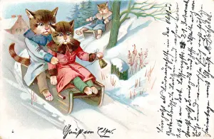 Sled Prints: Cats on sleds in the snow on a postcard