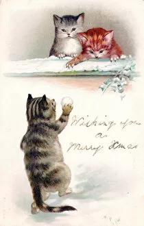 Cold Gallery: Three cats in the snow on a Christmas postcard