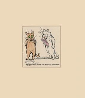 Cats, Are you a Suffragette?