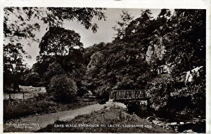 Mold Collection: Cats Walk Entrance to Leete, Loggerheads Country Park, Flint
