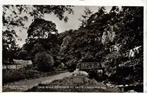 Leete Prints: Cats Walk Entrance to Leete, Loggerheads Country Park, Flint