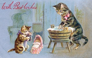 Two cats on a washday greetings card