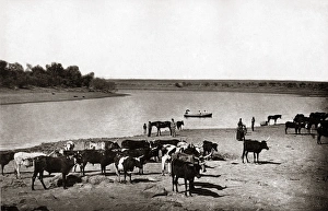 Catt the The Bend on the Vaal River, South Africa, circa 188 Catt the The Bend on the Vaal River, South Africa, circa 188
