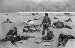 Aftermath Collection: After a Cattle Fight