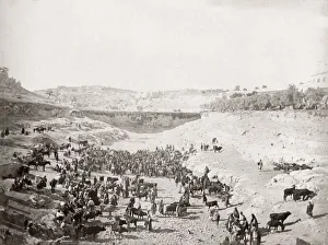 Siloam Prints: Cattle market, Lower Pool of Gihon, (Siloam) Jerusalem