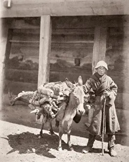 Caucasus Prints: Caucasus Georgia - Georgian man with a heavily laden donkey