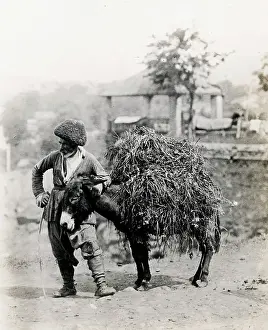 Ethnicity Prints: Caucasus Georgia Tiflis Tblisi-donkey with load & Armenian d