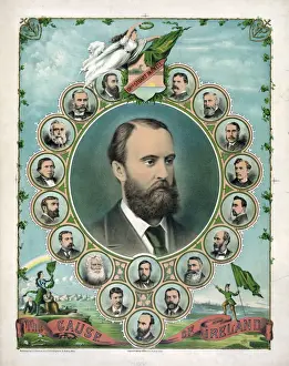 The cause of Ireland