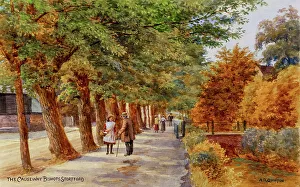 Shady Prints: The Causeway, Bishop's Stortford, Hertfordshire