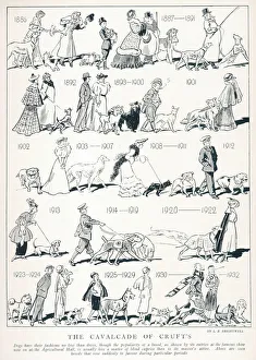 Breeding Collection: The Cavalcade of Crufts