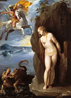 Andromeda Prints: Cavaliere d