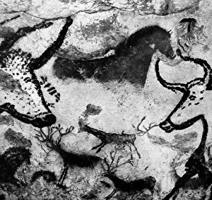 Images Dated 12th April 2004: Cave art paintings, prehistoric discovery