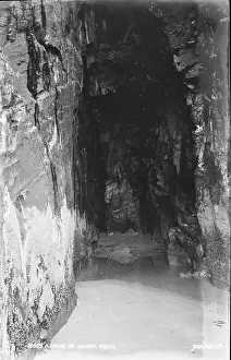 Lichen Prints: A Cave at Black Rock