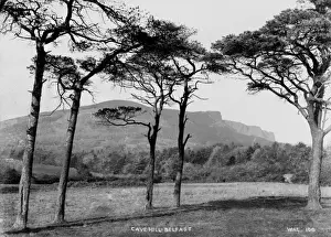 Cavehill Belfast