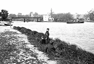 Caversham Prints: Caversham Bridge, River Thames
