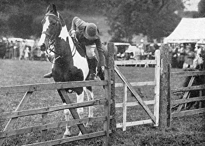 Cecil Aldin's all-children's pony show, Dunster Castle