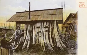 Oregon Prints: Cedar Stump Residence, Oregon
