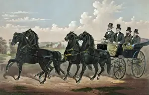 Superb Prints: The celebrated Four in hand Stallion team: Superb and his th
