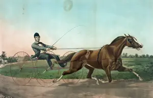 Celebrated pacing mare Pocahontas, driven by James McMann es