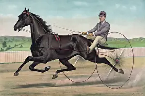 Dictator Prints: Celebrated trotter Jay Eye See, driven by Ed. Bithers: By Di