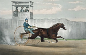 Horses Gallery: The celebrated trotting horse Judge Fullerton, as he appeare