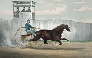 Celebrated Prints: The celebrated trotting horse Judge Fullerton, as he appeare