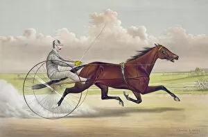 Woodward Gallery: The celebrated trotting mare Hattie Woodward, by Aberdeen, d