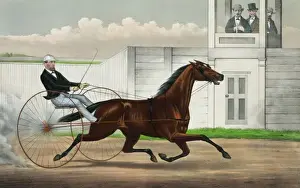 Lucy Prints: The celebrated trotting mare Lucy, passing the Judges Stand