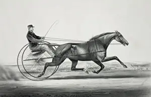 Isaiah Prints: The celebrated trotting mare Widow McChree, formerly called