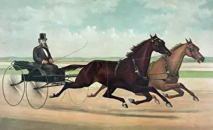The celebrated trotting mares Maud S. and Aldine, as they ap