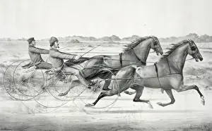 Trotting Prints: The celebrated trotting Stallions Ethan Allen and George M