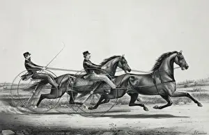 Abdallah Prints: The celebrated trotting Stallions Young Woful and Abdallah C