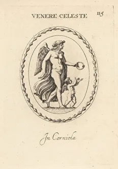 Carnelian Prints: Celestial Venus: winged figure of the goddess of love