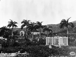 The Cemetary at St. Thomas, West Indies (1873)