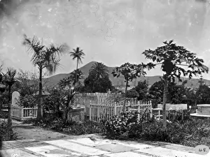 Barbados Prints: Cemetary, St. Thomas, West Indies (1873)