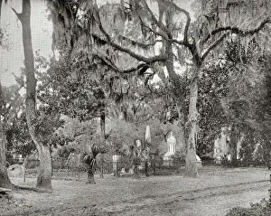 Savannah Prints: Cemetery of Bonaventure, Savannah, Georgia, USA