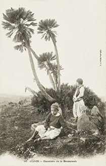 Amid Prints: Cemetery at Bouzareah - Algiers, Algeria