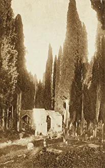 Cemetery at Scutari - Constantinople