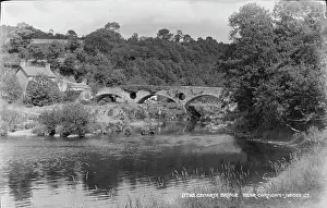 Cenarth Prints: Cenarth Bridge