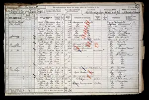 Census 1901