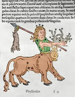 1485 Prints: Centaur Phyllirides. Engraving in Poeticon Astronomicon, by