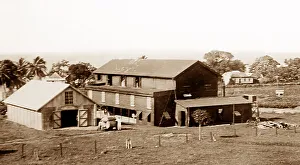Central cotton ginnery, St Vincent, Caribbean